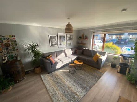 Cozy living room with gray sectional, area rug, and natural light.