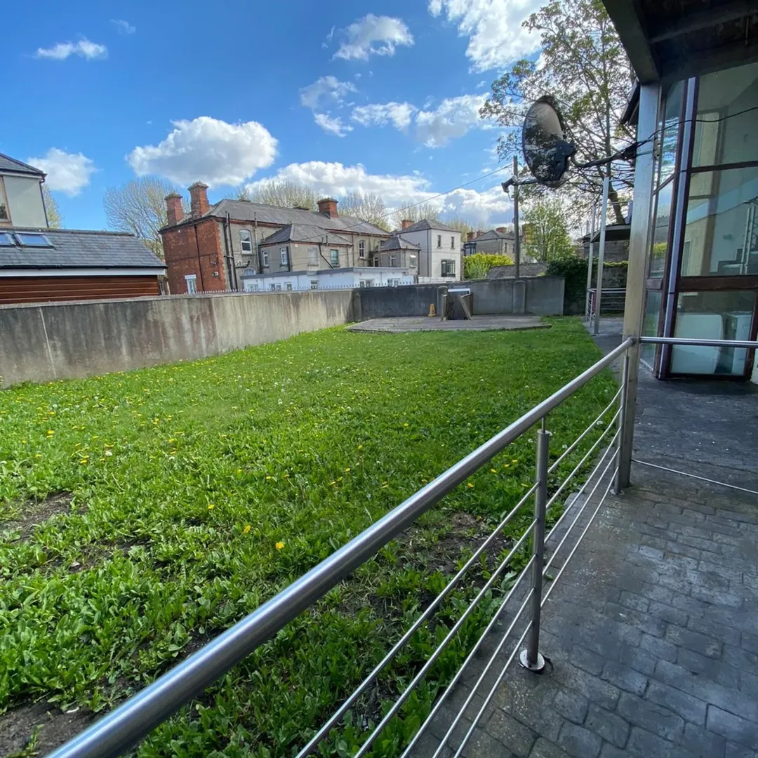 Lush green lawn with dandelions, surrounded by brick buildings and modern architecture on a sunny day.