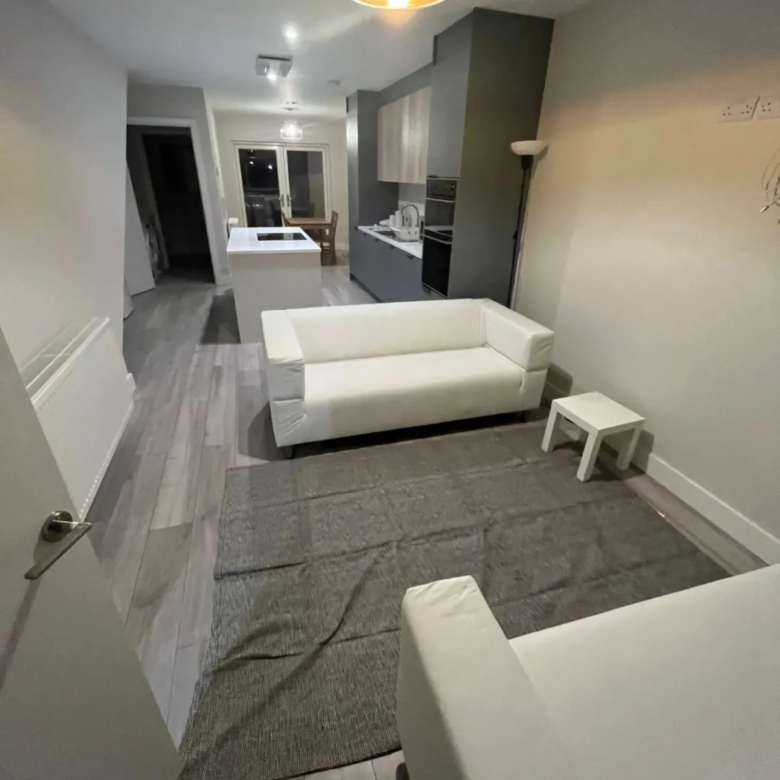 Modern apartment living room with white sofa and gray rug.