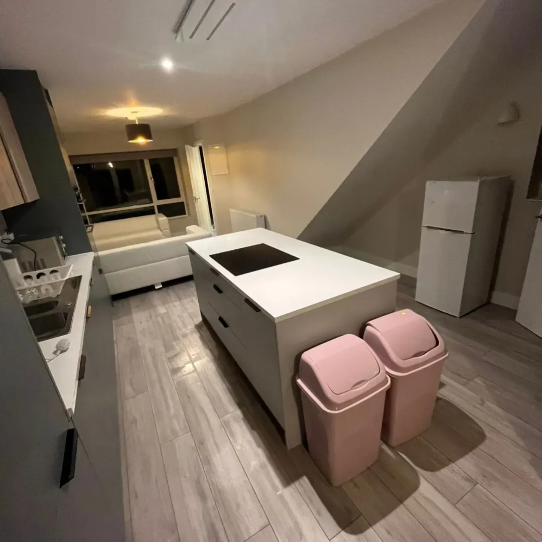 Modern kitchen with island, white cabinets, and pink trash cans.