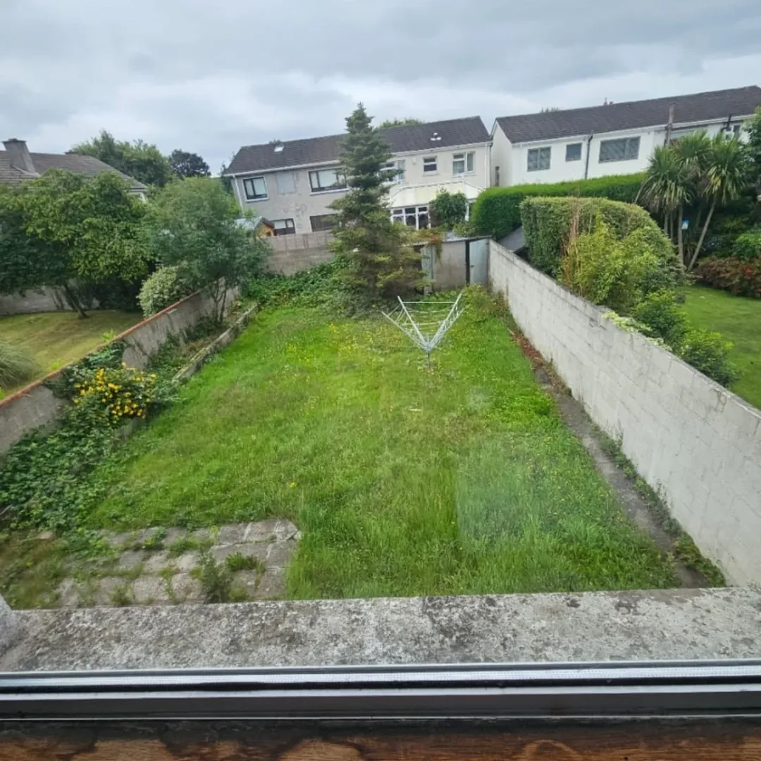 Overgrown backyard with grass, trees, and block walls on a cloudy day.