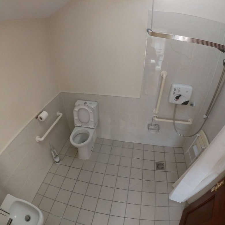 Accessible bathroom with toilet, shower, and grab bars for mobility assistance.