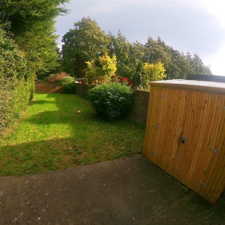 Green backyard with lawn, shed, hedge, trees, and concrete patio on a sunny day.