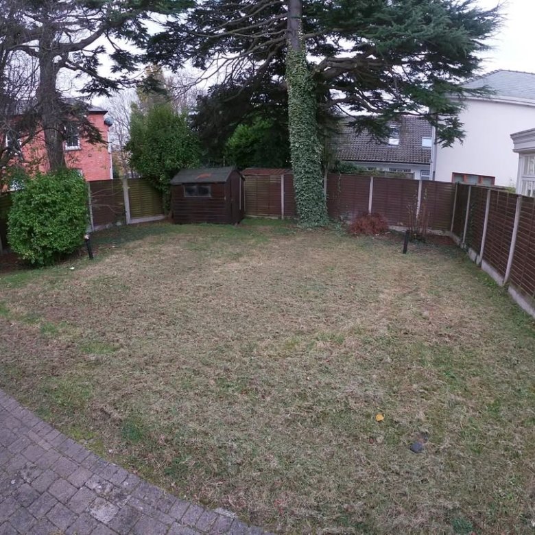 Backyard with lawn, shed, and wooden fence. Trees provide shade.