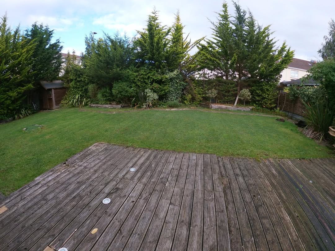 Backyard with wooden deck, green lawn, and tall evergreen trees in the background.