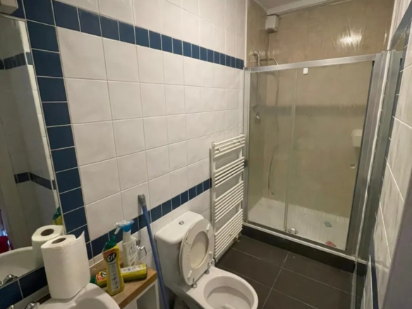 Bathroom interior with toilet, sink, shower, and blue-trimmed white tiles.