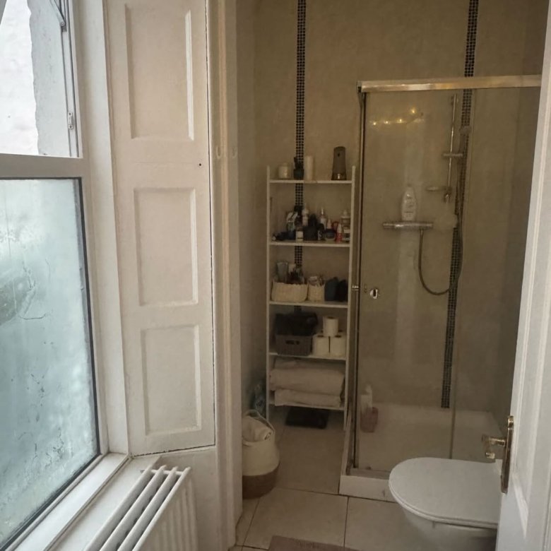 Bathroom interior with shower, toilet, shelving unit, and window.