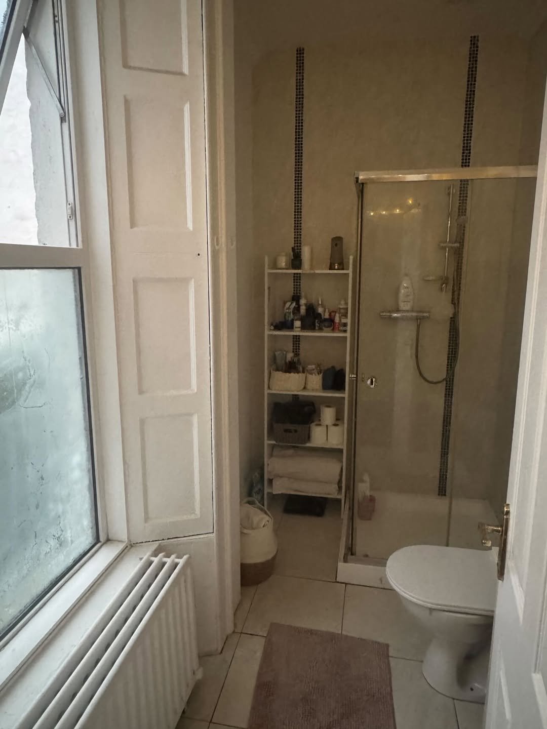 Bathroom interior with shower, toilet, shelving unit, and window.