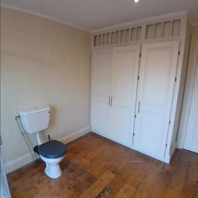 Bathroom with toilet and built-in wardrobe in room with wooden floorboards.