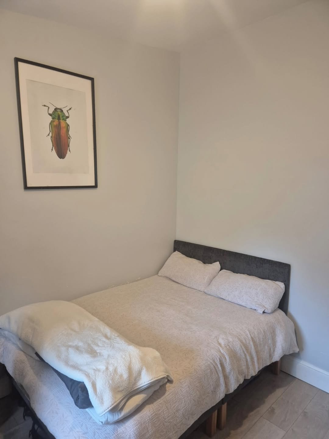 Bedroom corner with double bed and framed beetle print on wall.