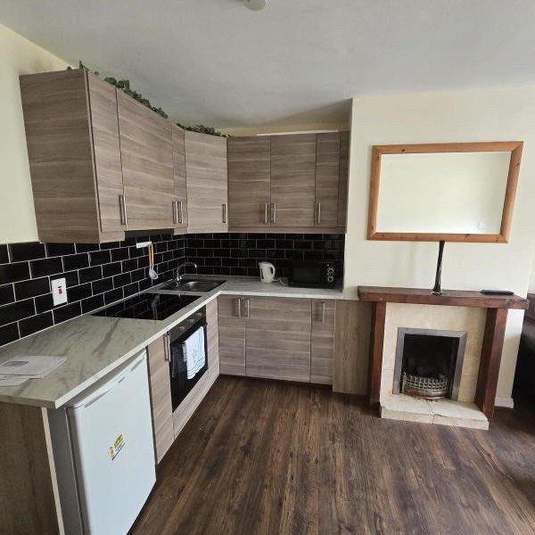 Compact kitchen with wood cabinets, black tile backsplash, and a fireplace.