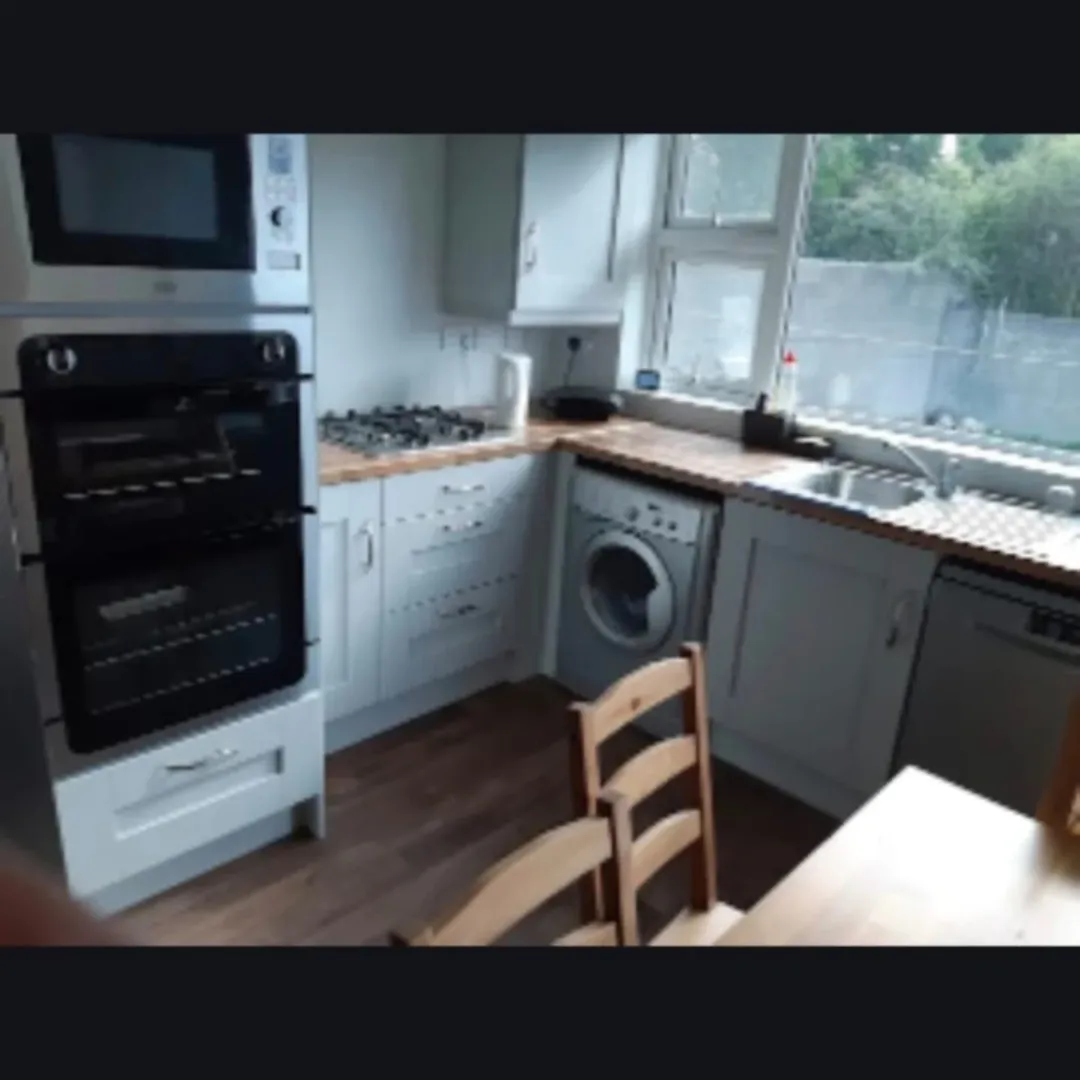 Modern kitchen with oven, microwave, washing machine, and wooden countertops.
