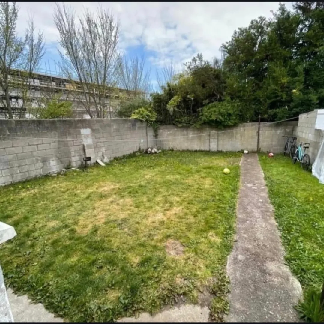 Overgrown backyard with grass, concrete path, and cinder block wall. Bicycles are parked near the fence.