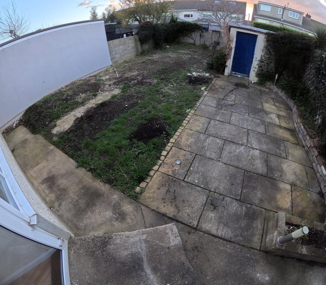 Overgrown backyard with patio, grass, and shed. Needs landscaping and maintenance.