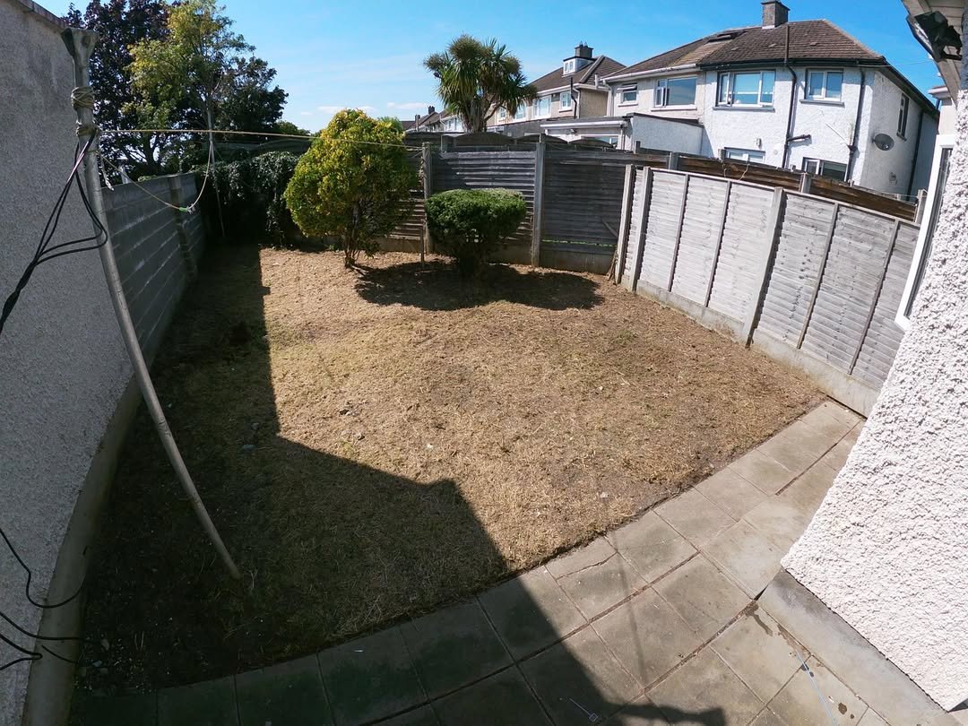 Small backyard garden with dying grass and weathered fences.