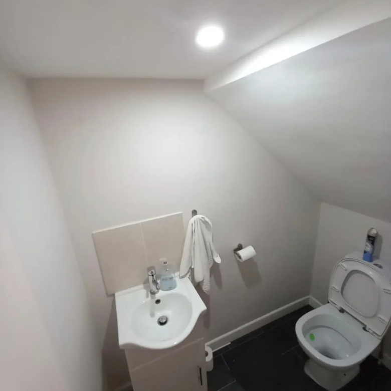 Small bathroom with toilet, sink, and angled ceiling.