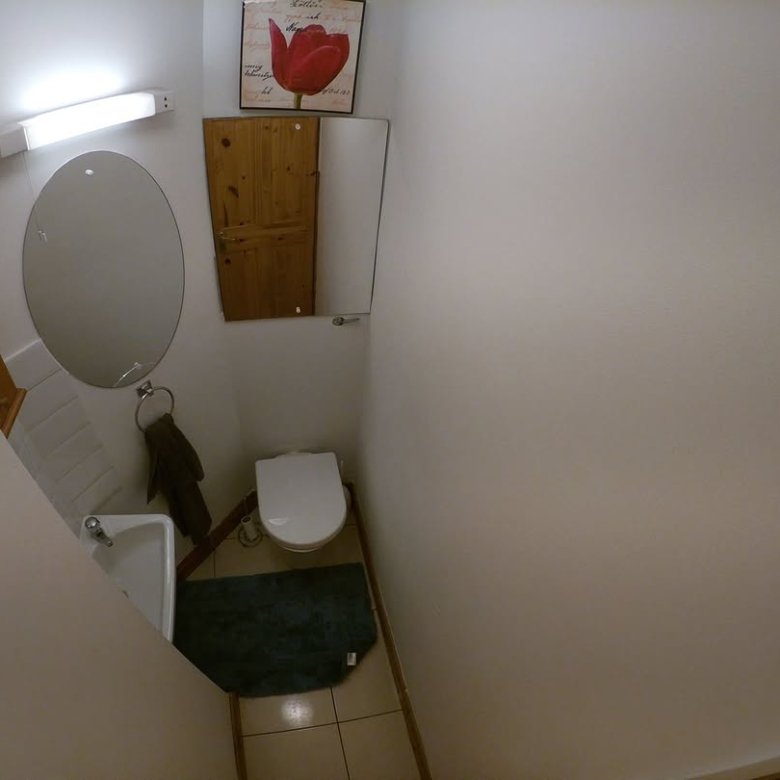 Small bathroom with toilet, sink, oval mirror, and tulip art above a wooden cabinet. Bright lighting.