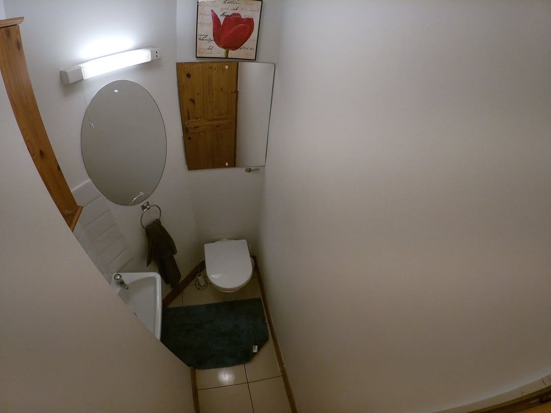 Small bathroom with toilet, sink, oval mirror, and tulip art above a wooden cabinet. Bright lighting.