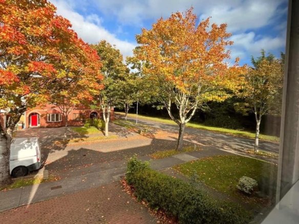 Autumn trees with colorful leaves line a street with houses and parked van.