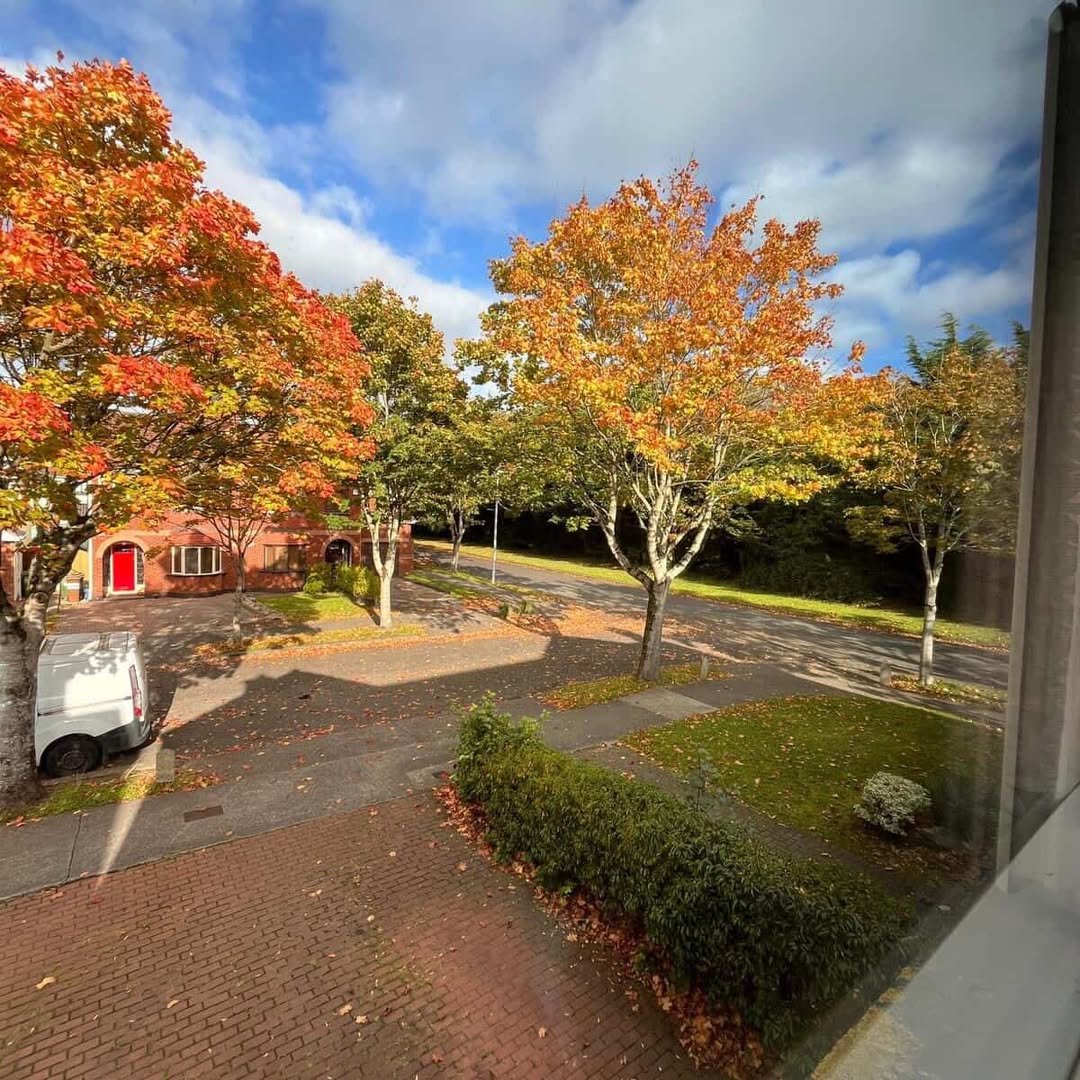 Autumn trees with colorful leaves line a street with houses and parked van.