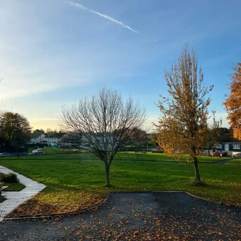 Autumn scene with bare trees, green grass, and blue sky in a residential area.