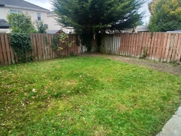 Backyard with green grass, wooden fence, and large evergreen tree.