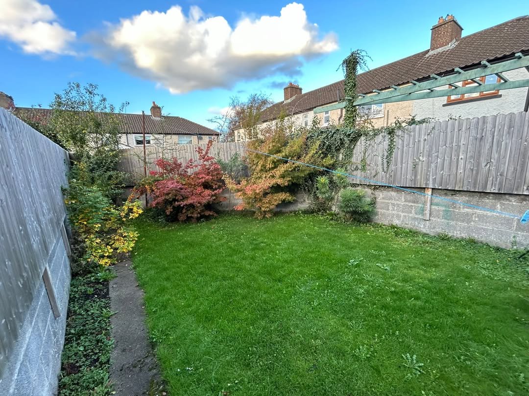 Backyard lawn with autumn foliage, wooden fence, and blue sky with clouds.