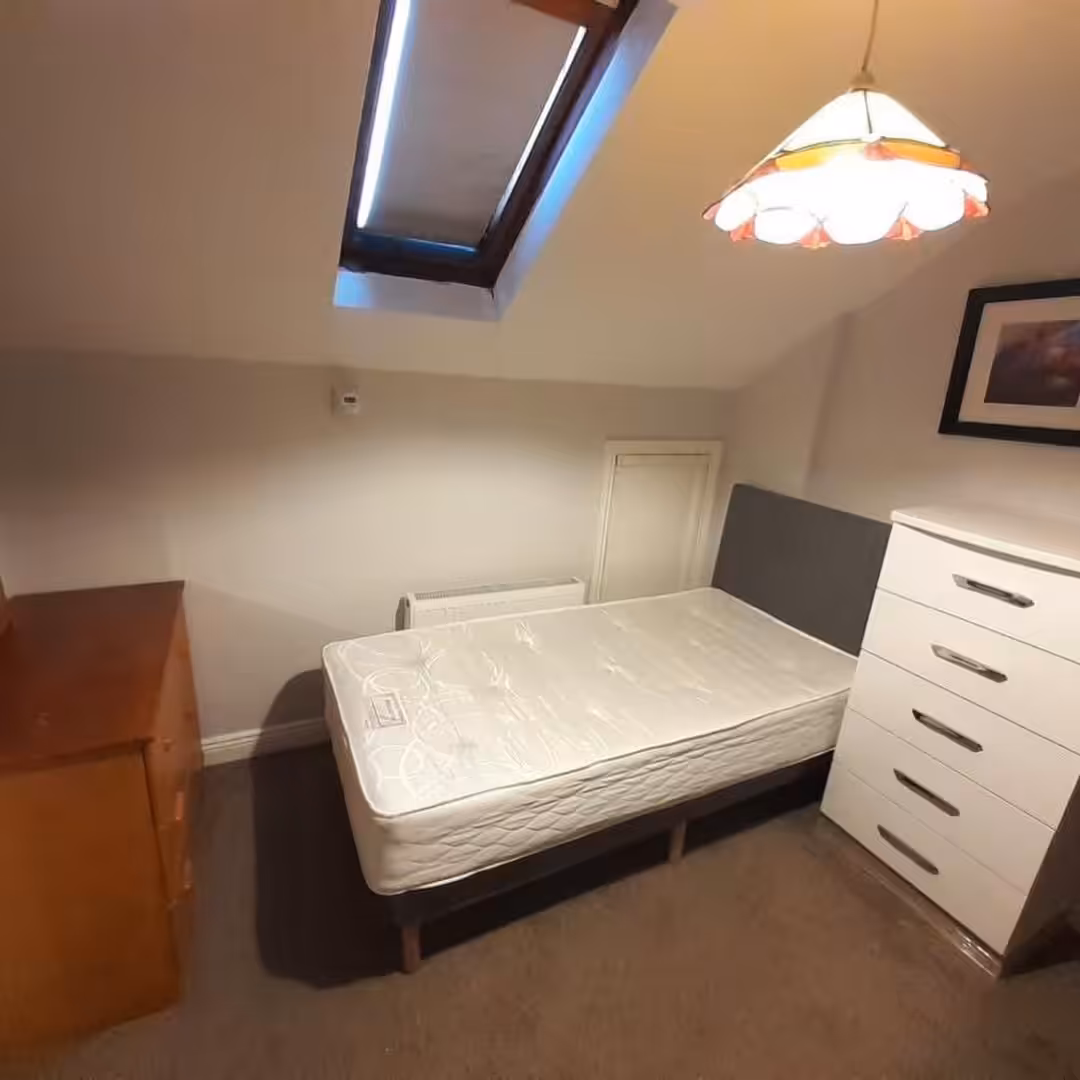Bedroom with bed, dresser, and skylight. Neutral decor, carpeted floor.
