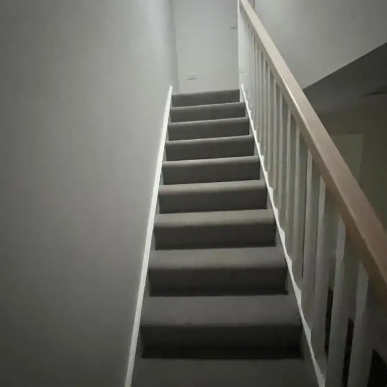 Carpeted stairs with white railing leading upwards in a home interior.