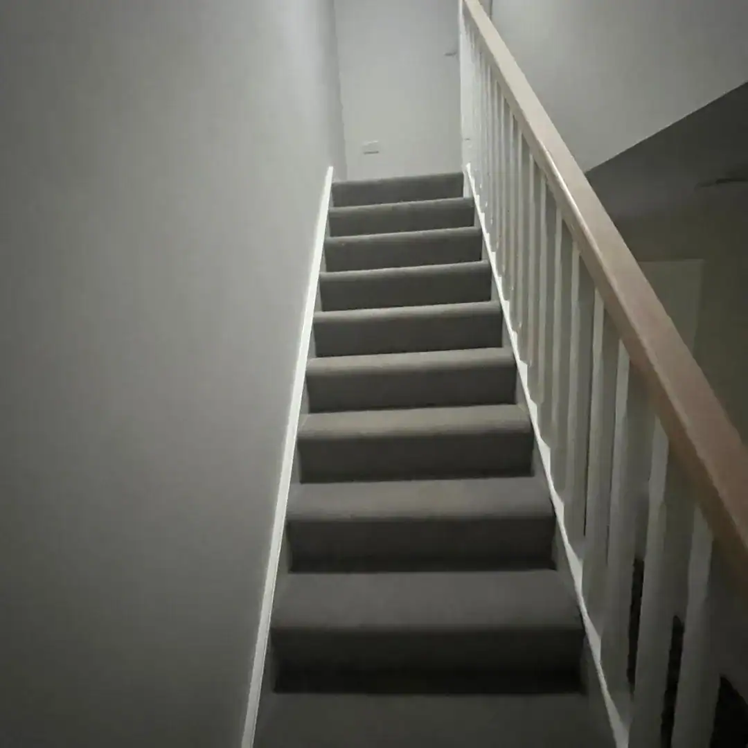 Carpeted stairs with white railing leading upwards in a home interior.