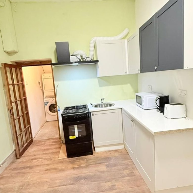 Compact kitchen with stove, microwave, and washer/dryer visible through doorway. Light green walls, wood floors.