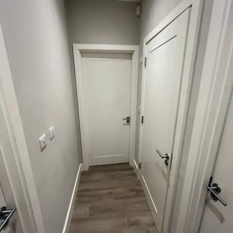 Hallway with white doors and light wood-look flooring.
