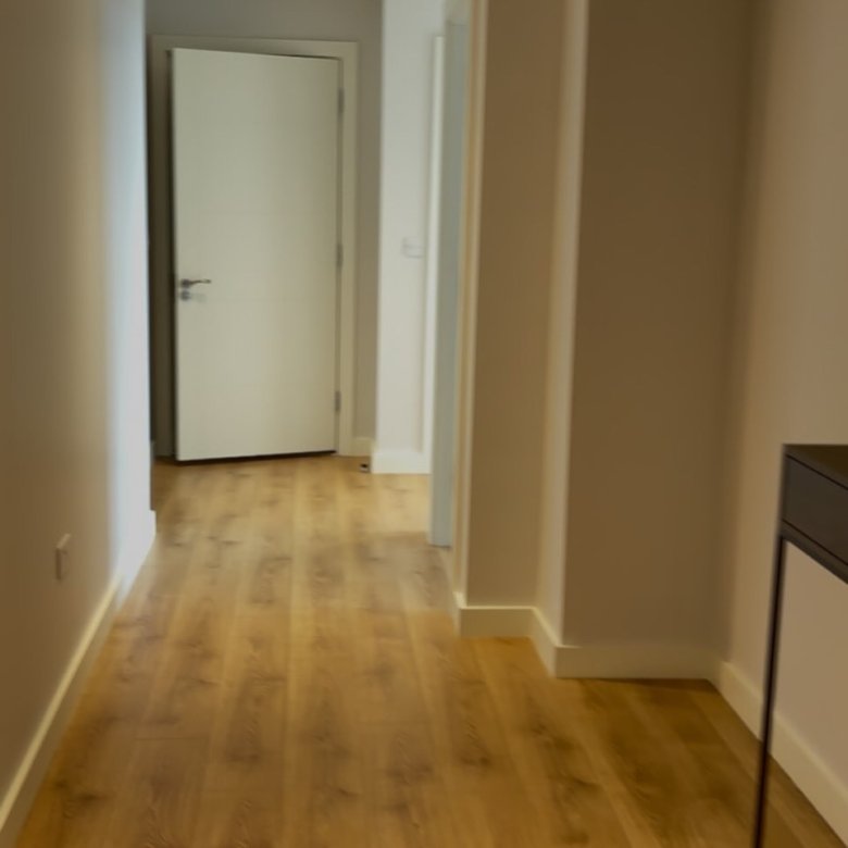 Hallway with wood flooring and white doors.