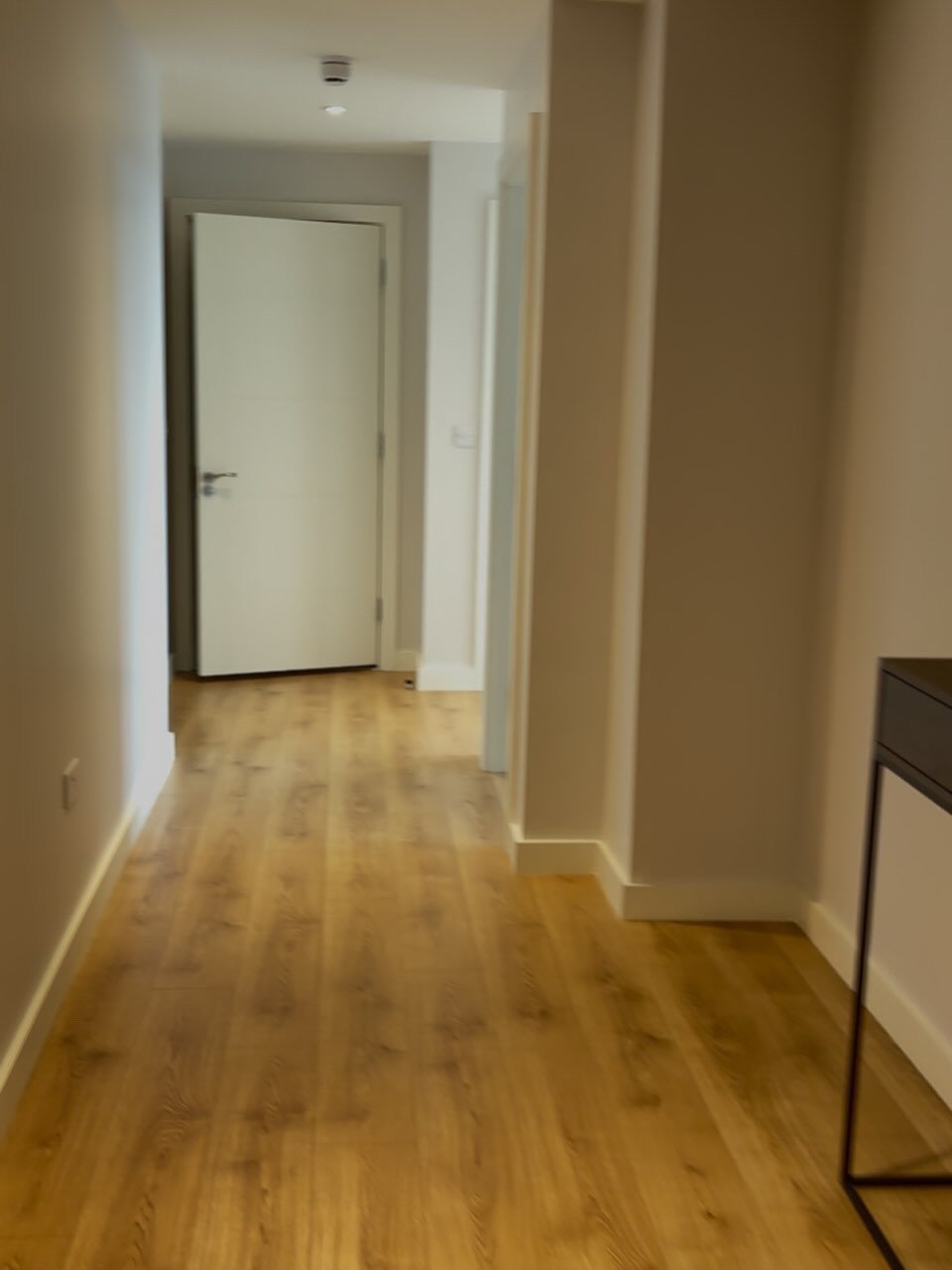 Hallway with wood flooring and white doors.