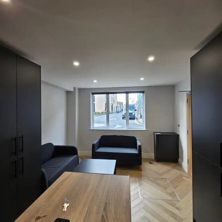 Modern apartment living room with black sofas and wood-grain flooring.