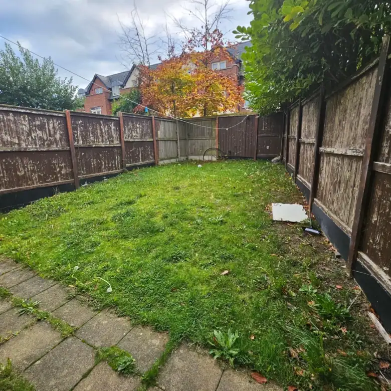 Overgrown backyard with weathered fence and autumn tree in background.