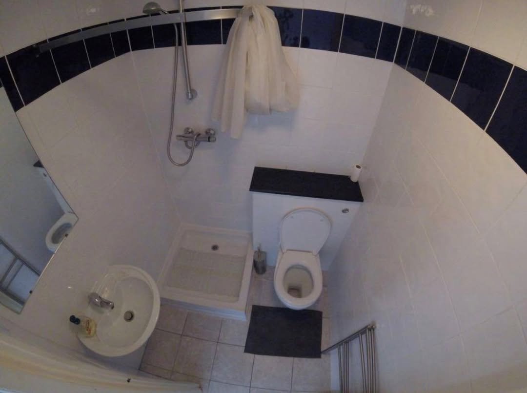 Small bathroom with toilet, sink, shower, and blue/white tile.