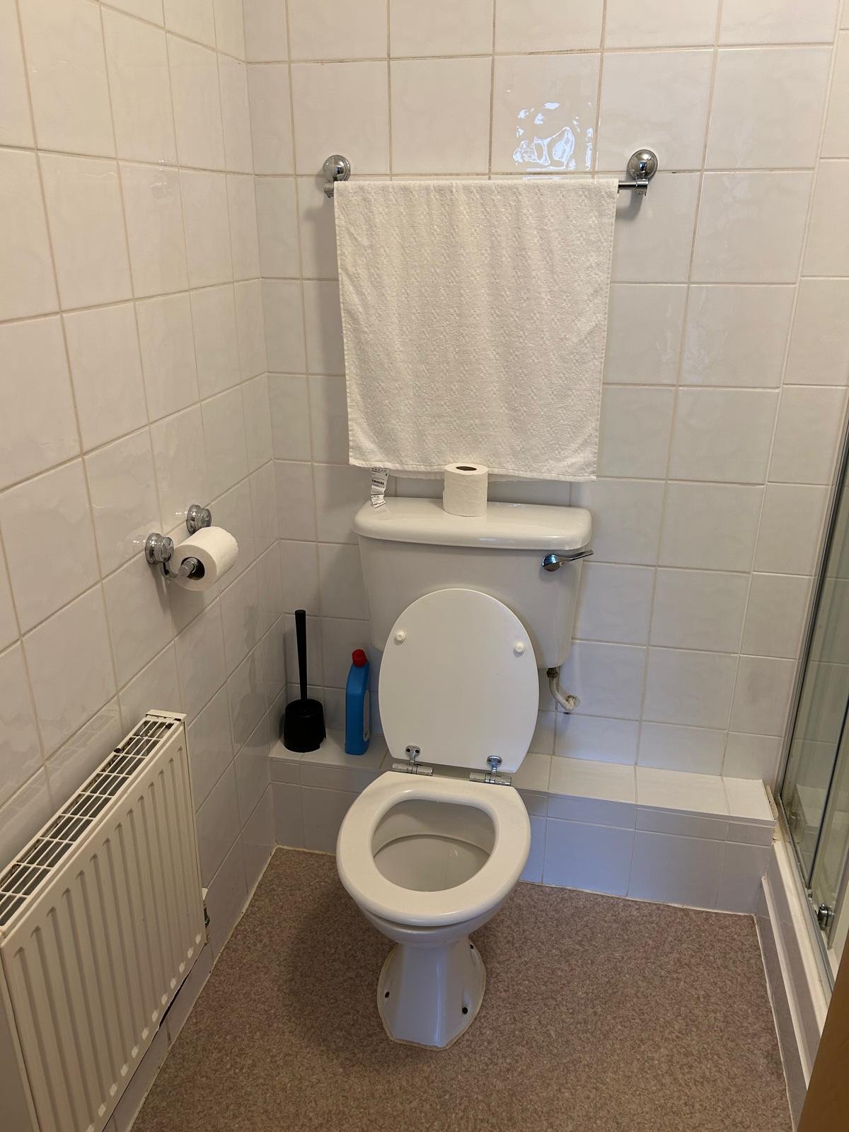 Toilet with open seat, towel rack, and radiator in tiled bathroom.