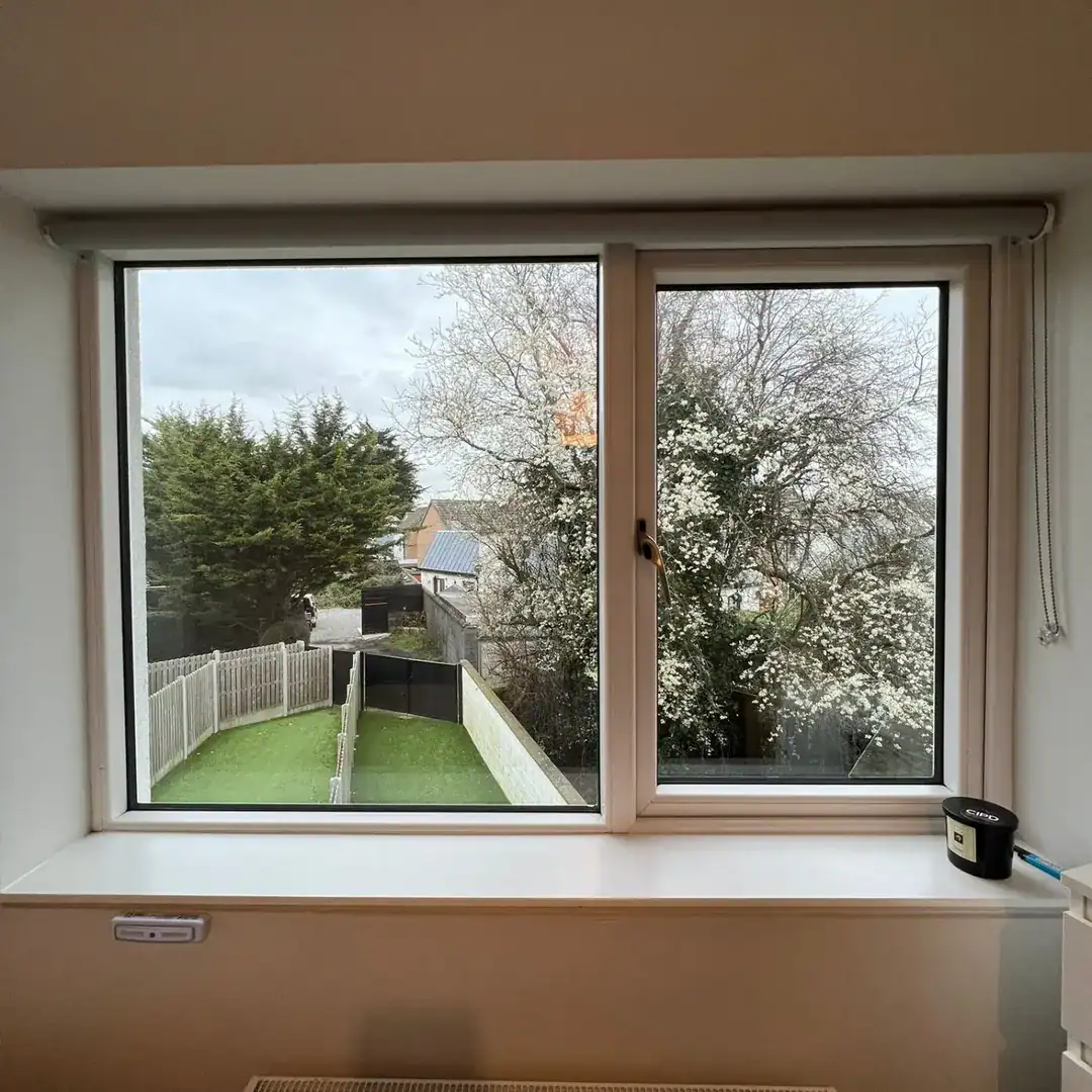 Window view: garden, trees, and sky. Natural light interior.