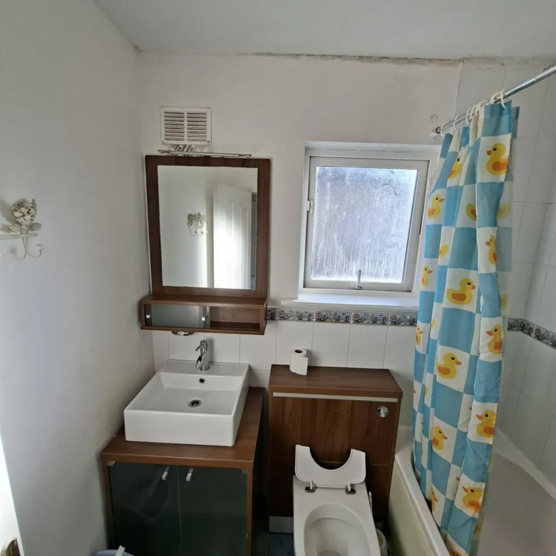 Bathroom with white sink, toilet, mirror, and duck-patterned shower curtain.