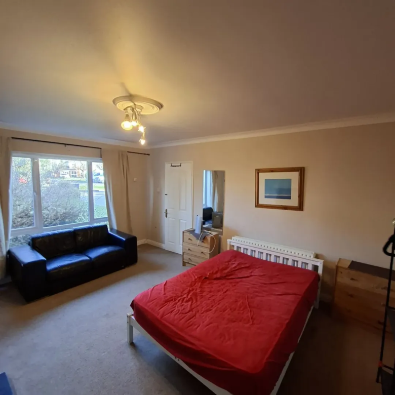 Bedroom with bed, sofa, dresser, and window. Neutral walls and carpet. Natural light.