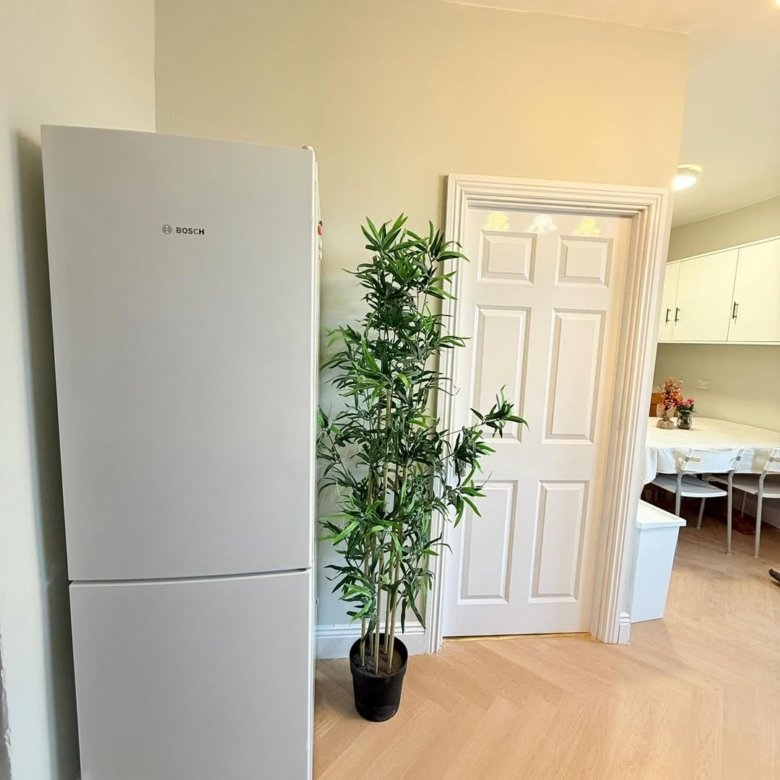 Bosch refrigerator next to faux bamboo plant near white door.