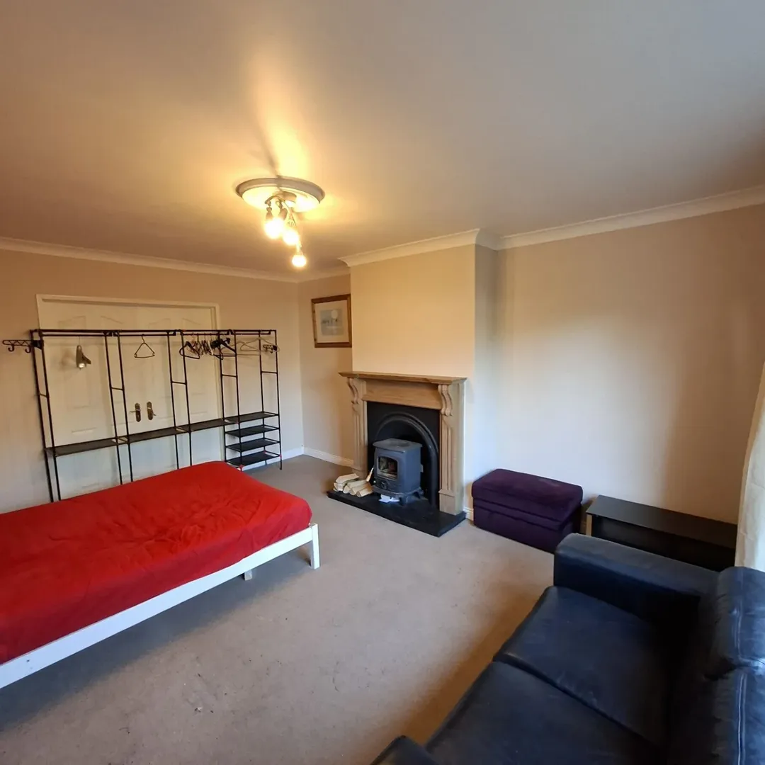 Living room with red futon, black sofa, fireplace, and clothing rack.
