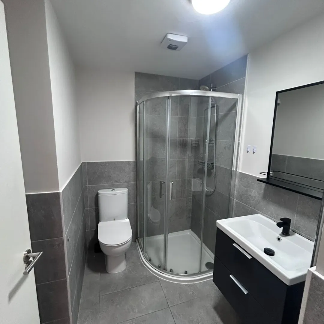 Modern bathroom with shower, toilet, and vanity sink. Gray and white color scheme.