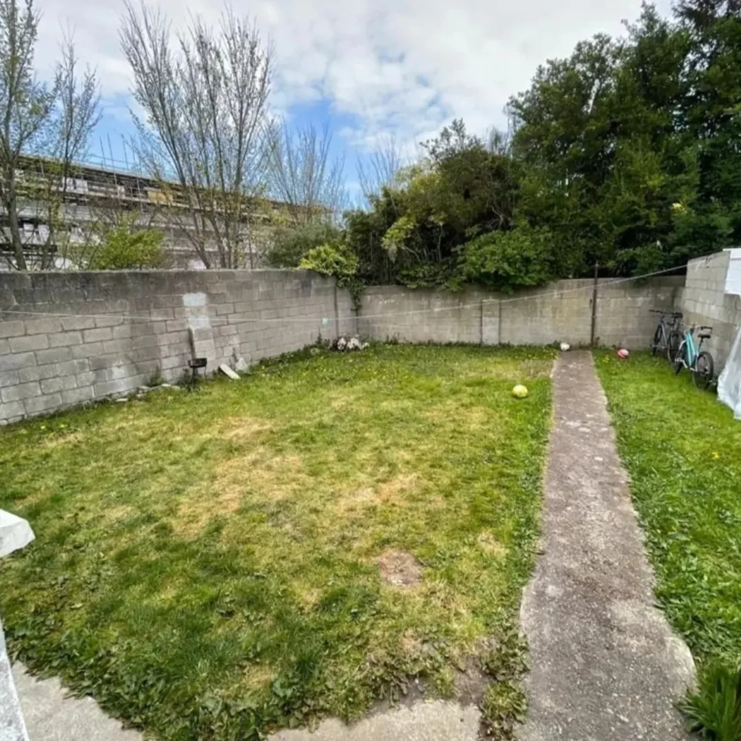 Overgrown backyard with grass, concrete wall, and bicycles parked on the side.