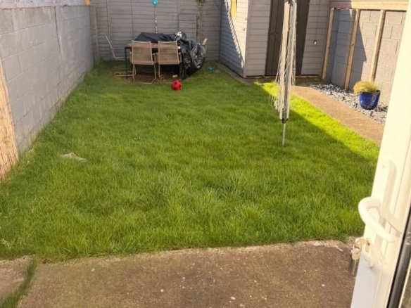 Small backyard garden with lawn, shed, and patio furniture.