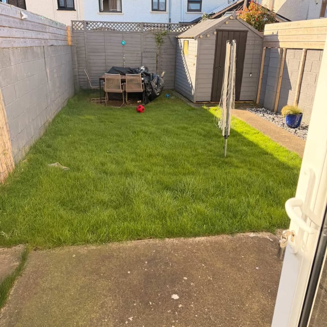 Small backyard garden with lawn, shed, and patio furniture.