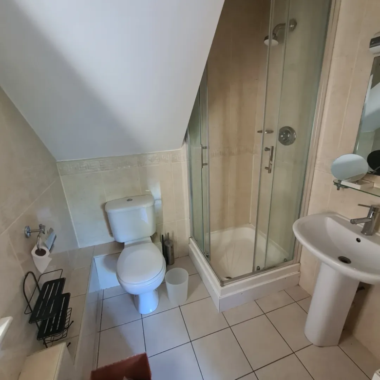 Small bathroom with toilet, shower, and sink under slanted ceiling.