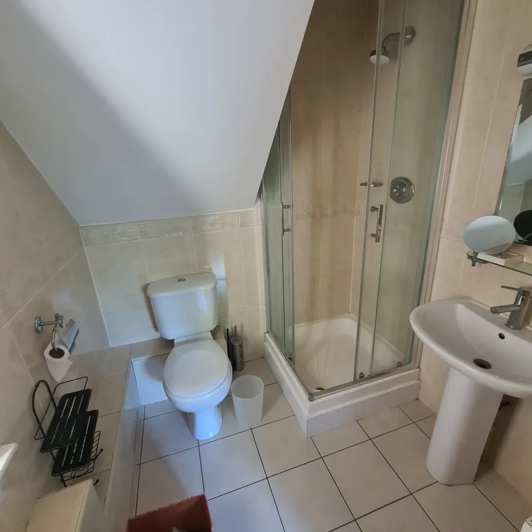 Small bathroom with toilet, shower, and sink under slanted ceiling.