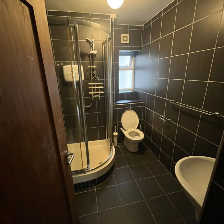 Small, dark bathroom with shower, toilet, and sink against dark tiled walls.